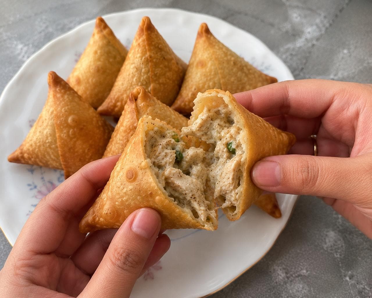 Malai Boti Samosa